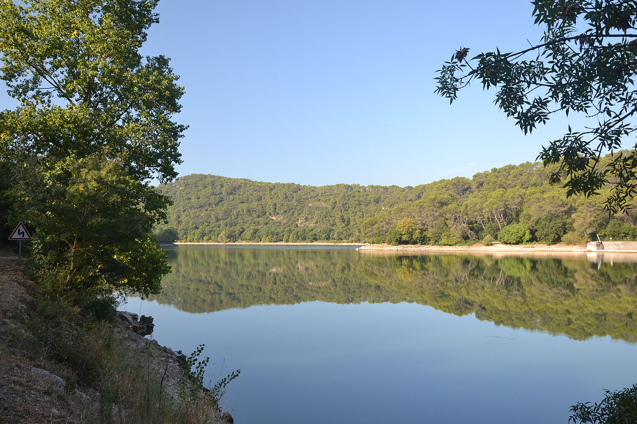Le lac de Carcès : baignade, pêche et balade au cœur de la Provence verte